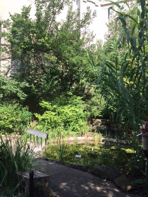 View of the Biblical Garden and pond. Photo by Sarah Eyler.