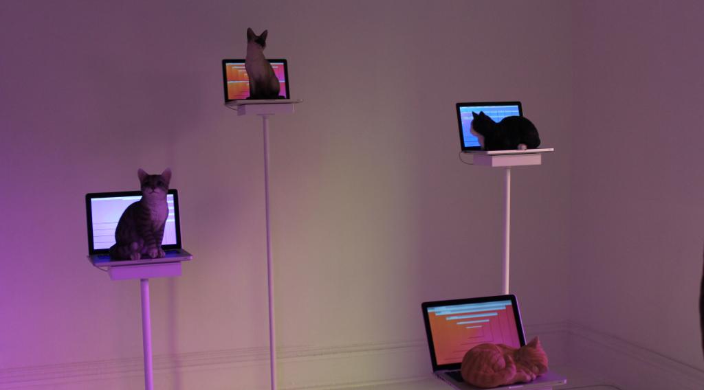 Cats on laptops display at the Mattress Factory. Photo by Ryan Kunzmann.