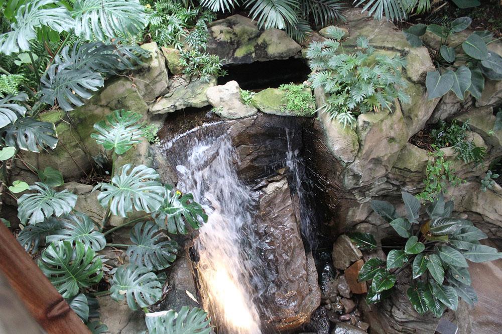 This is a waterfall in the botanical gardens. All of the water is being reused and recycled, so there is no wasting. The conservatory conserves two types of water, storm water and sanitary water. Taken by Lisa Cohen.
