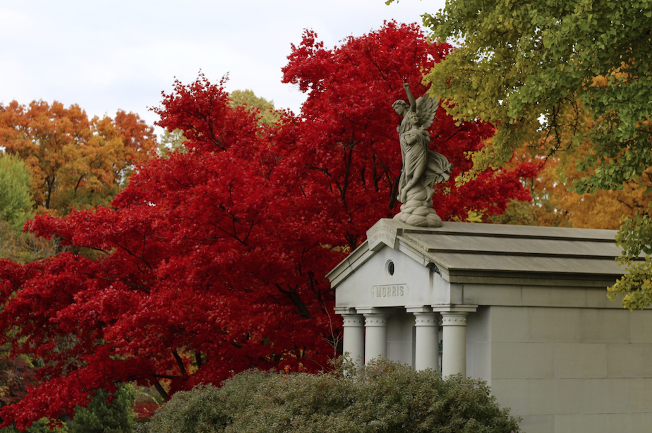 A brilliant red tree stands behind a mausoleum. Taken by Adriana Sciulli