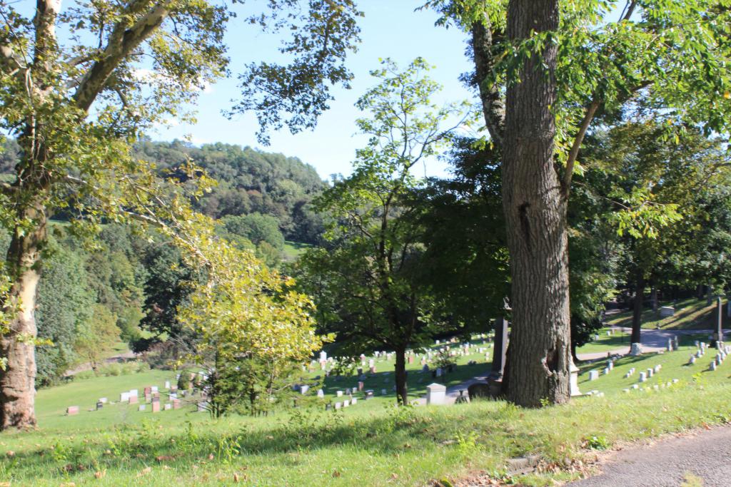 Photo by Allegheny Cemetery Secret Pittsburgh Site Leaders, 2021 / Depiction of large tree within the Allegheny Cemetery