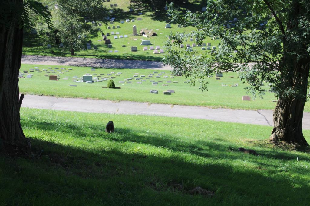 Photo by Allegheny Cemetery Secret Pittsburgh Site Leaders, 2021 / Depiction of graves within the Allegheny Cemetery